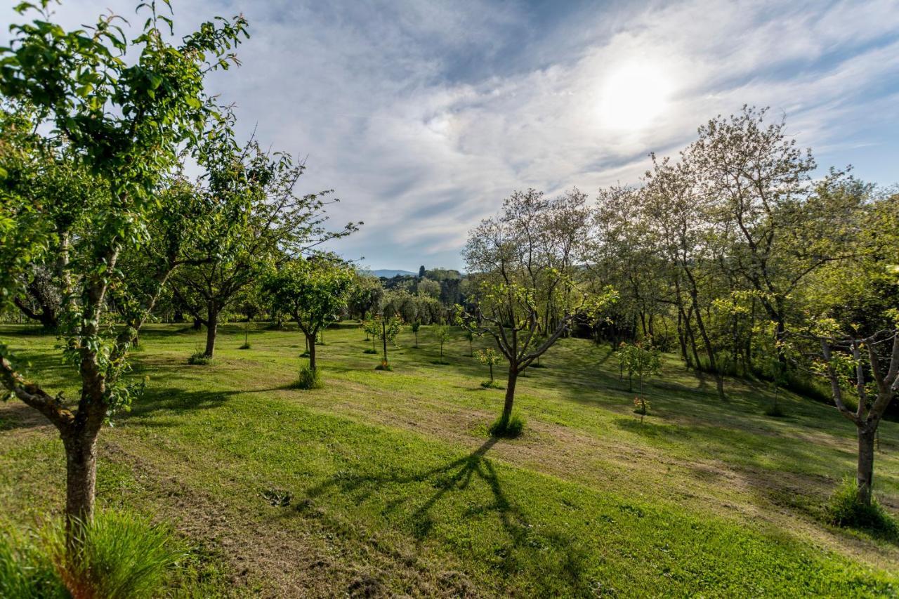 Podere Sant'Antonio Fauglia Extérieur photo