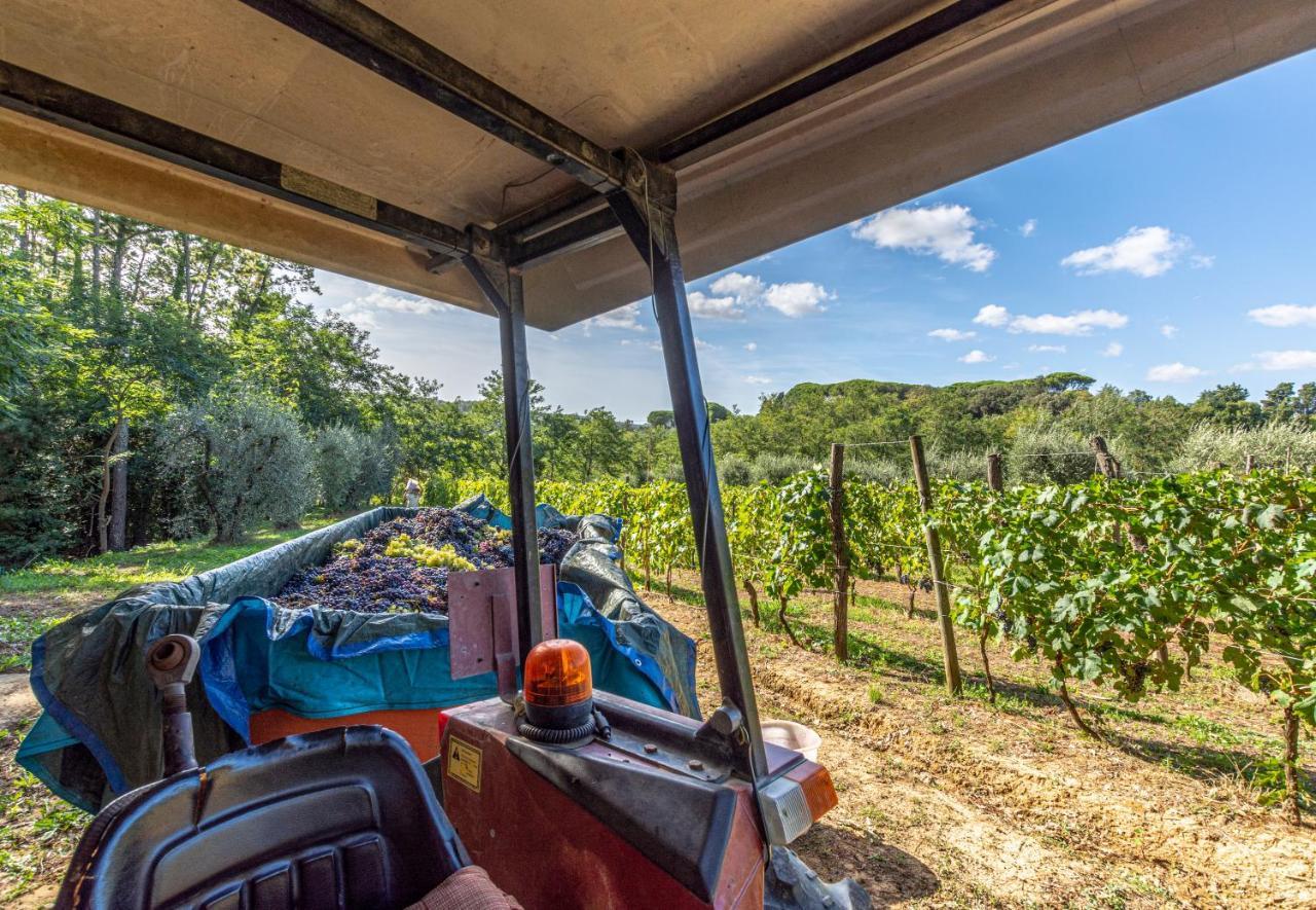 Podere Sant'Antonio Fauglia Extérieur photo