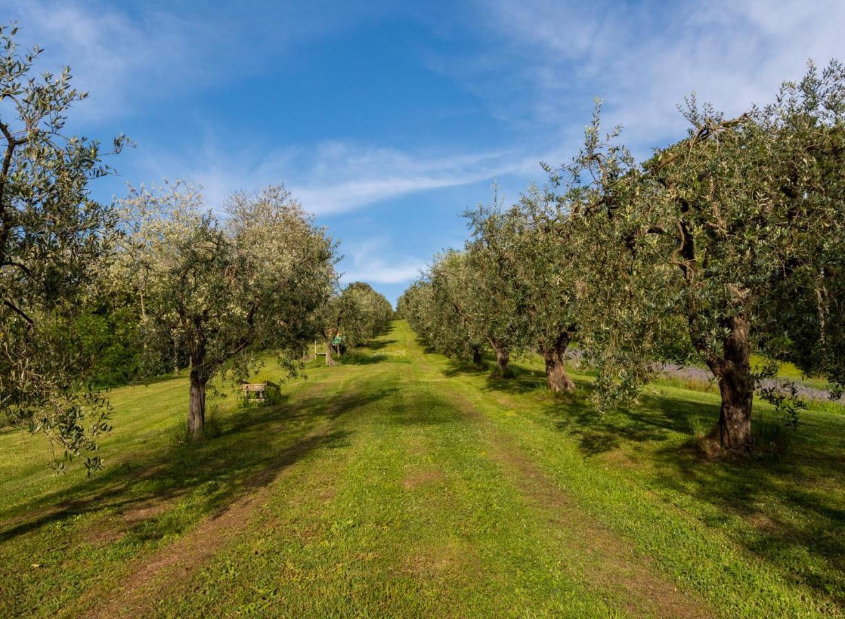 Podere Sant'Antonio Fauglia Extérieur photo