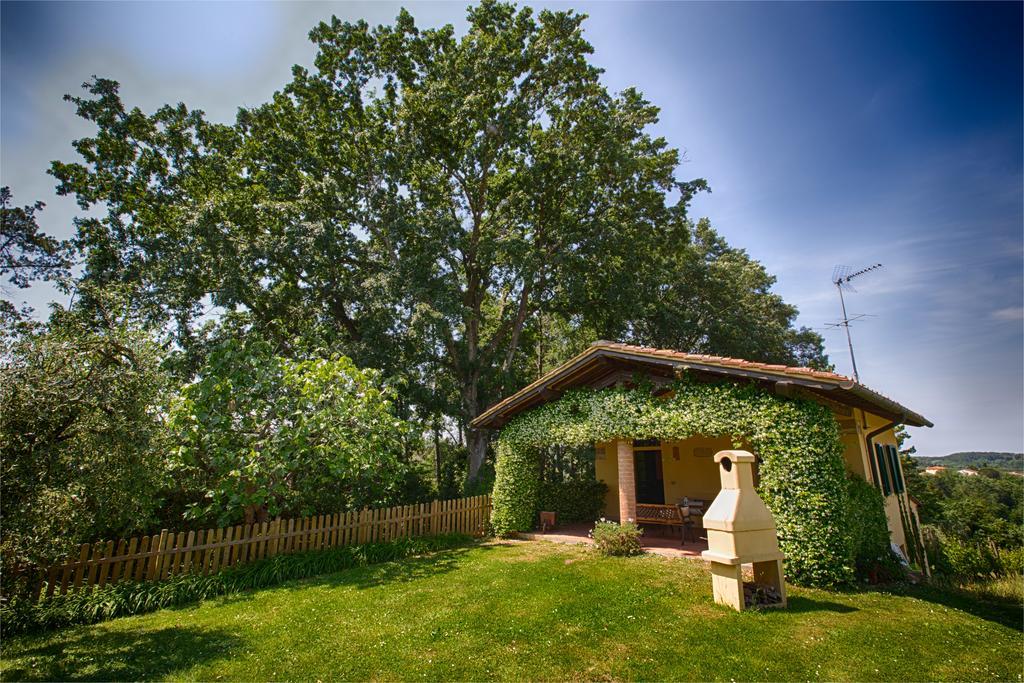 Podere Sant'Antonio Fauglia Extérieur photo